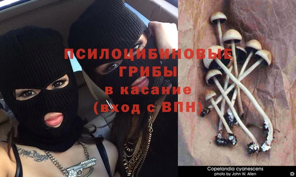 молекула духа Янаул