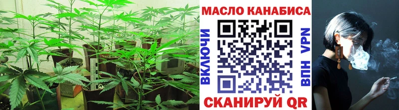 блэк спрут как войти  Суровикино  ТГК вейп 
